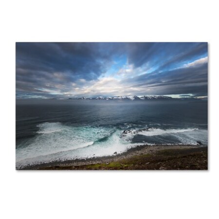 Trademark Fine Art Philippe Sainte-Laudy 'You Are My Energy' Canvas Art, 30x47 PSL0895-C3047GG